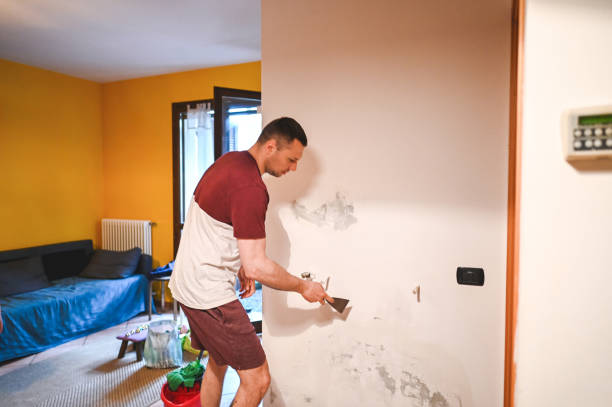 Mold Removal and Inspection in Charenton, LA